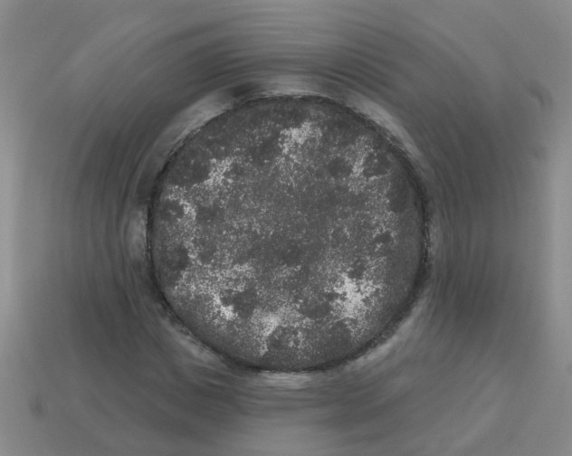 X0000113880825200910221354