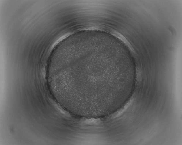 X0000113880826200910221354