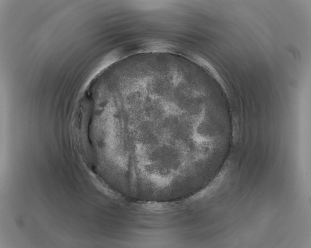 X0000113880827200910221354