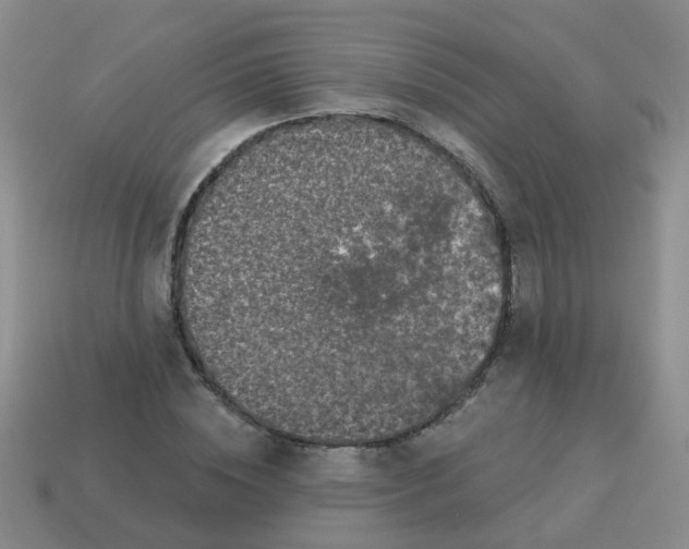 X0000113880828200910221354