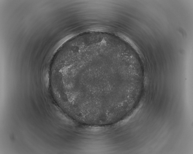X0000113880829200910221354