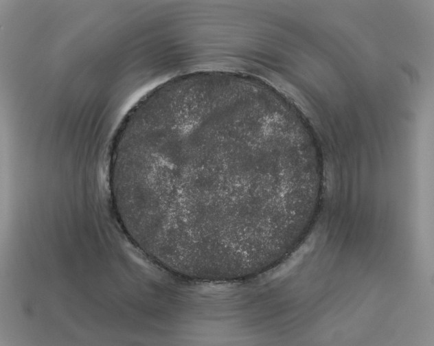 X0000113880830200910221354