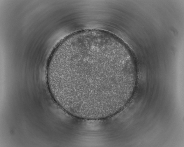 X0000113880832200910221354