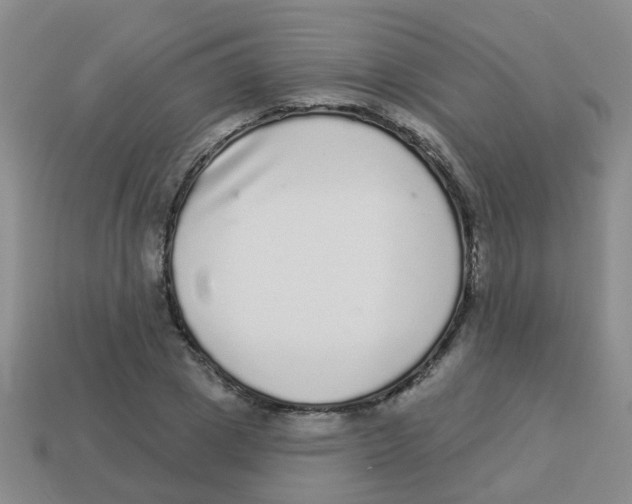 X0000113880833200910221354