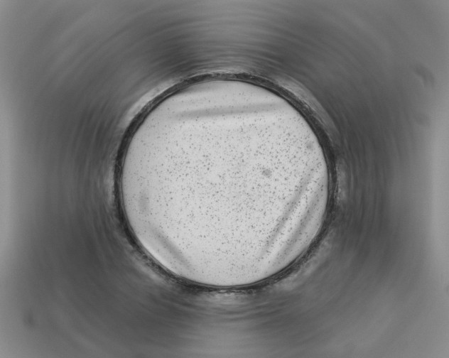 X0000113880834200910221354
