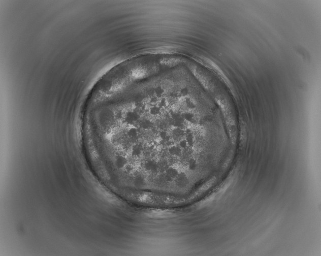X0000113880835200910221354