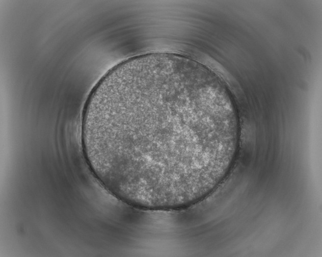X0000113880836200910221354