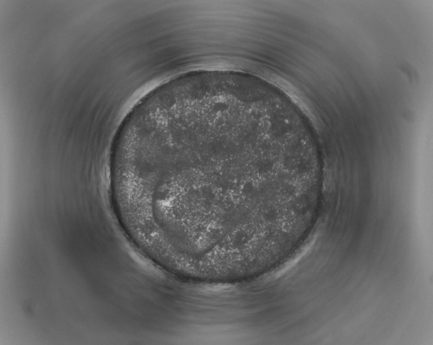X0000113880837200910221354