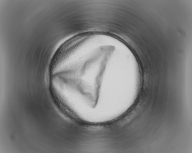 X0000113880838200910221354