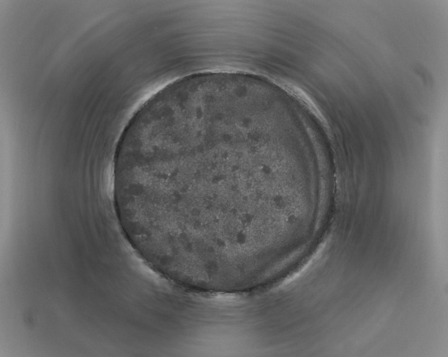 X0000113880839200910221354