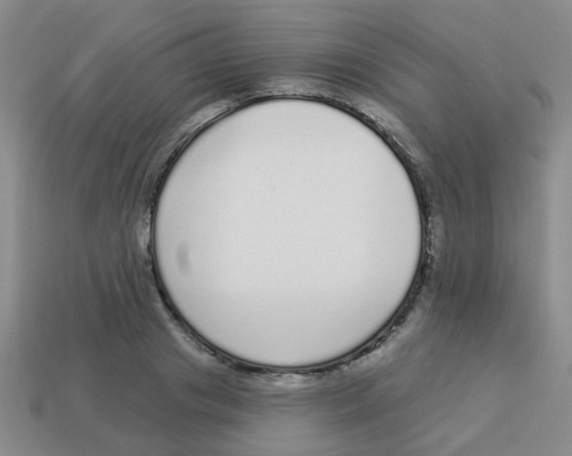 X0000113880841200910221354