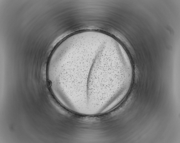X0000113880842200910221354