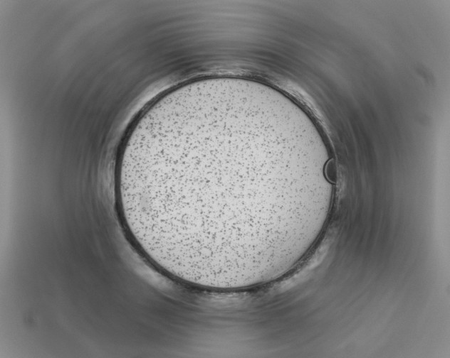 X0000113880843200910221354