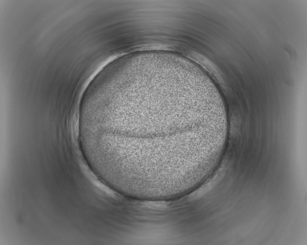 X0000113880844200910221354