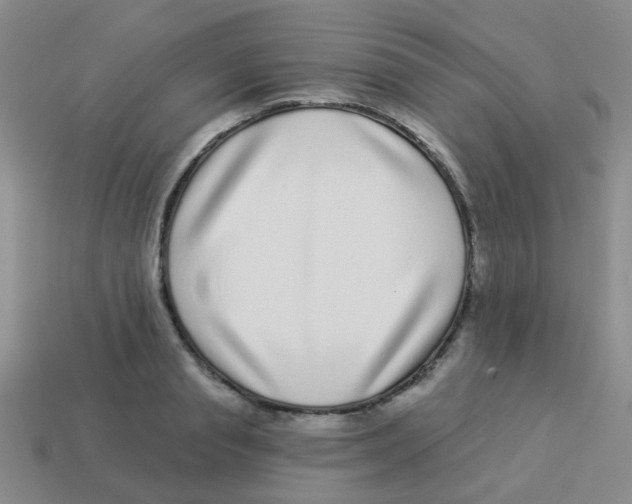 X0000113880845200910221354