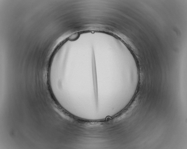 X0000113880846200910221354