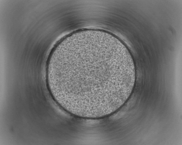 X0000113880848200910221354