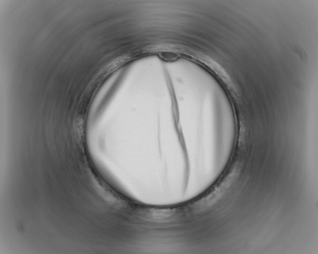 X0000113880849200910221354