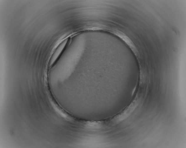 X0000113880850200910221354