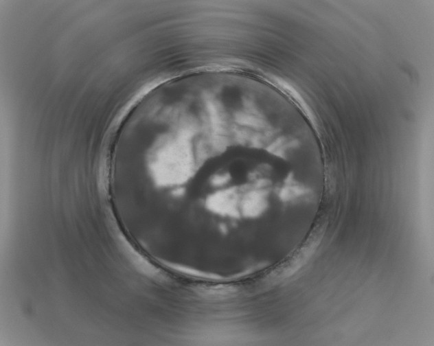 X0000113880851200910221354