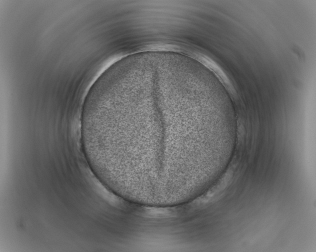 X0000113880852200910221354