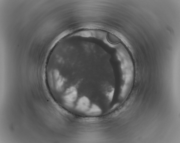 X0000113880853200910221354