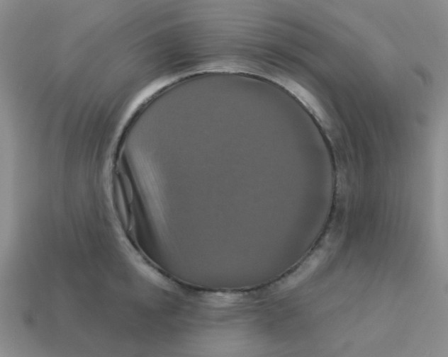 X0000113880854200910221354