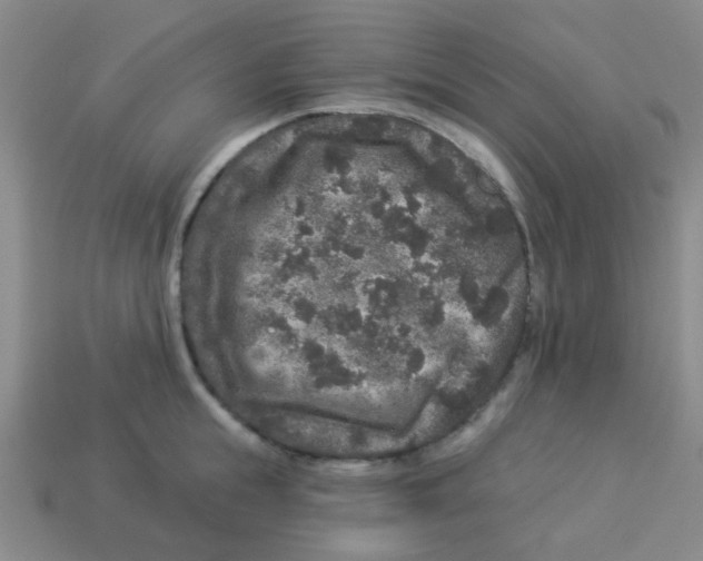 X0000113880855200910221354