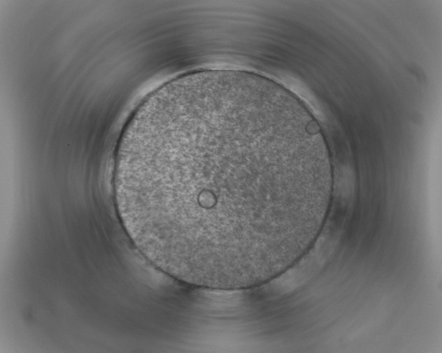 X0000113880856200910221354