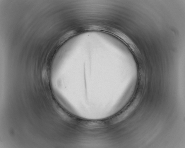 X0000113880857200910221354