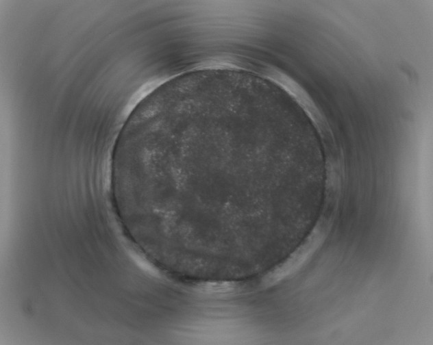 X0000113880858200910221354