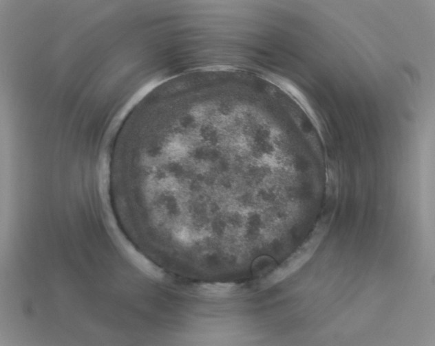 X0000113880859200910221354