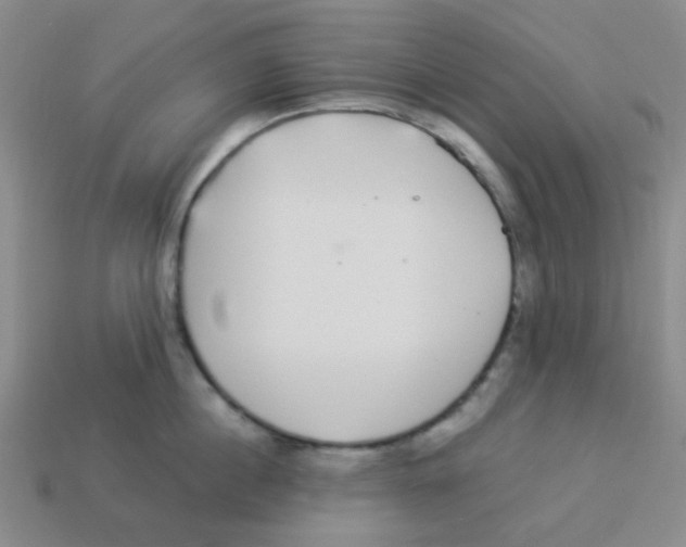 X0000113880860200910221354