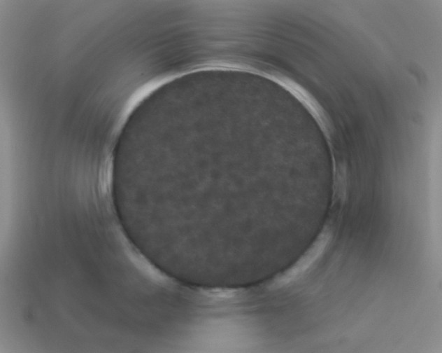 X0000113880862200910221354