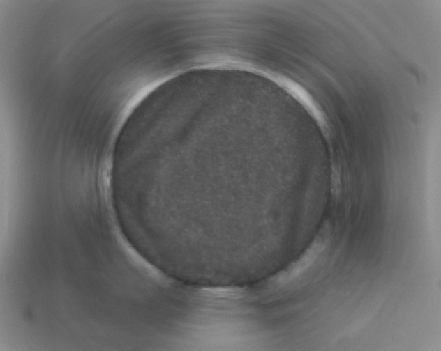 X0000113880863200910221354