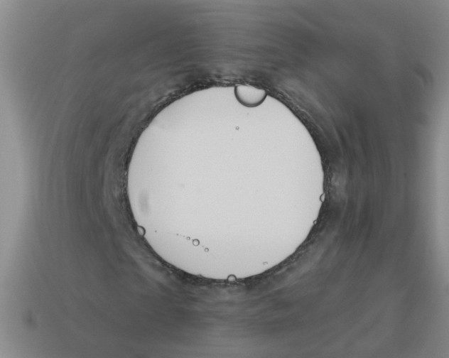 X0000113880865200910221354