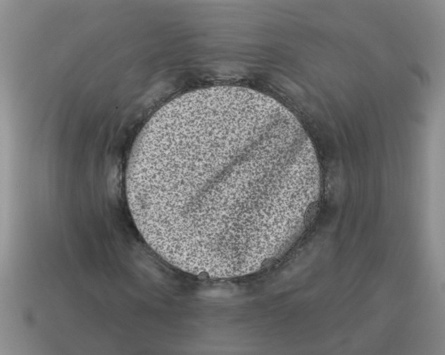 X0000113880866200910221354