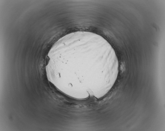 X0000113880867200910221354