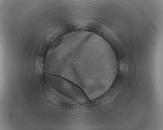 X0000113880868200910221354