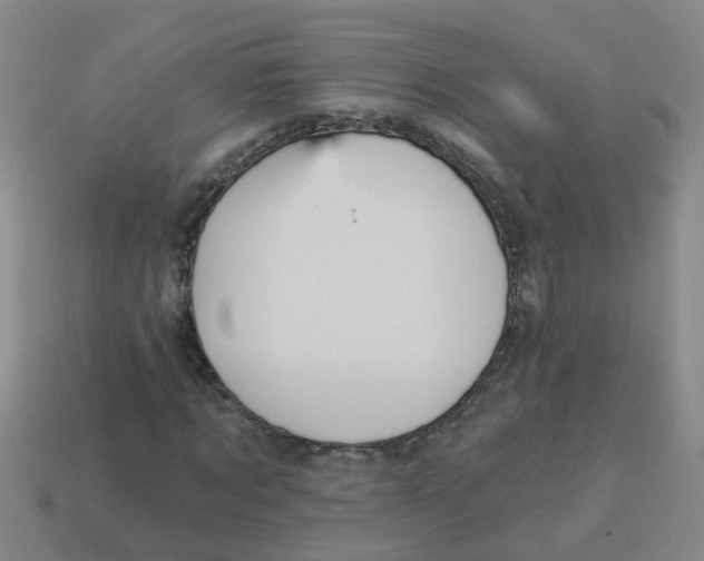 X0000113880869200910221354
