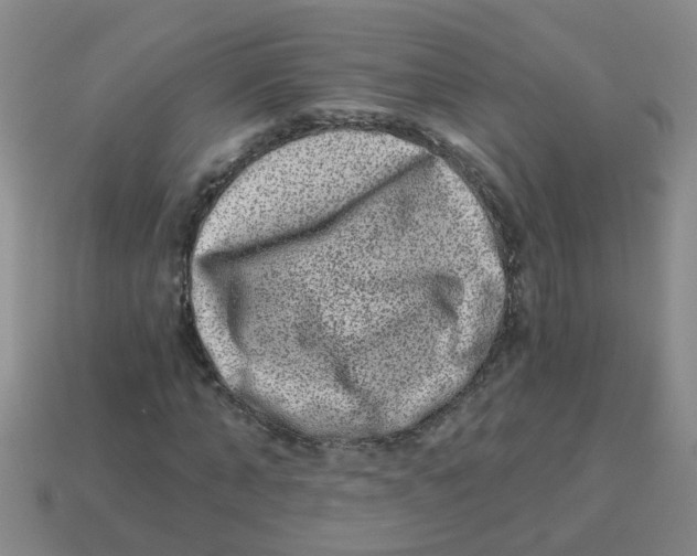 X0000113880870200910221354