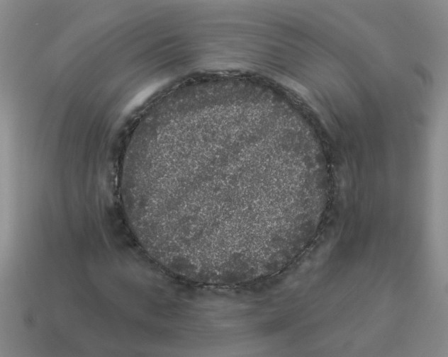 X0000113880871200910221354