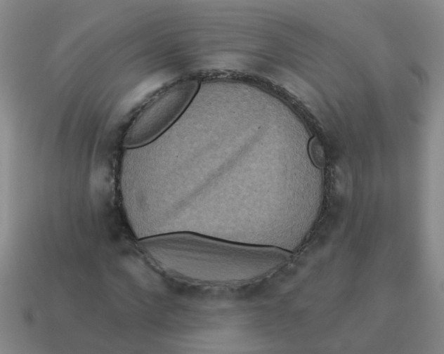 X0000113880872200910221354