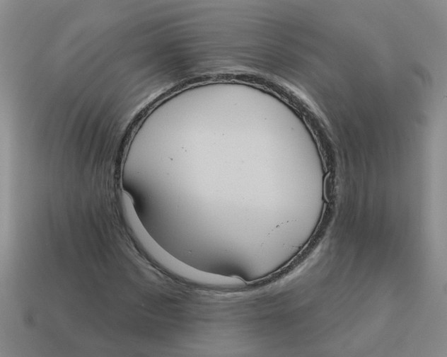 X0000113880873200910221354