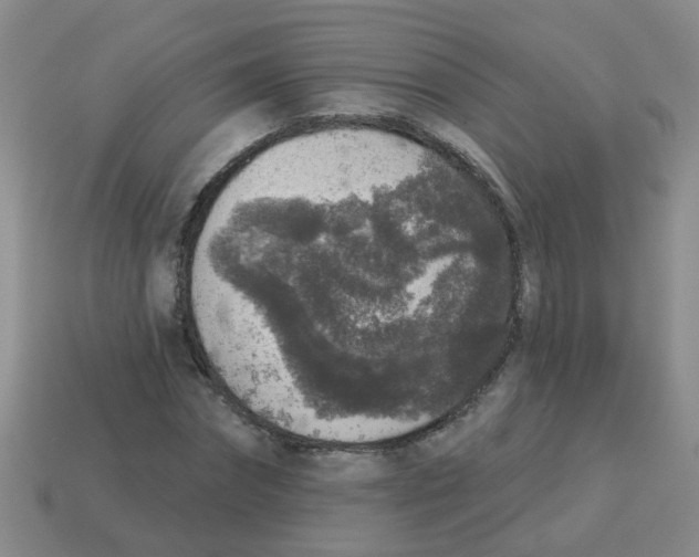 X0000113880874200910221354