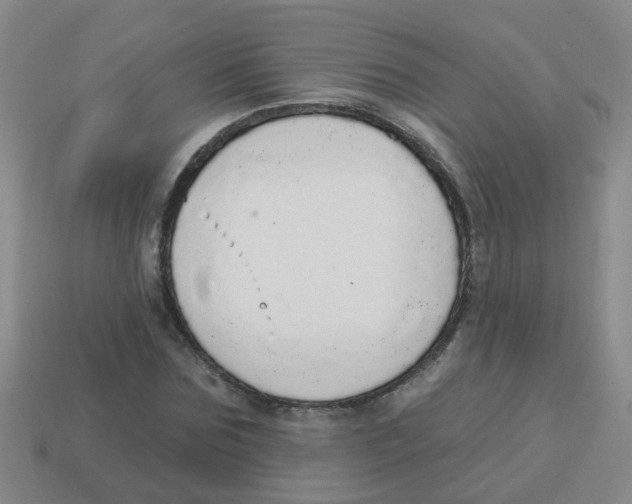 X0000113880875200910221354