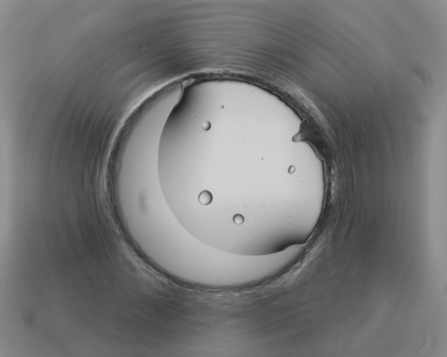 X0000113880876200910221354