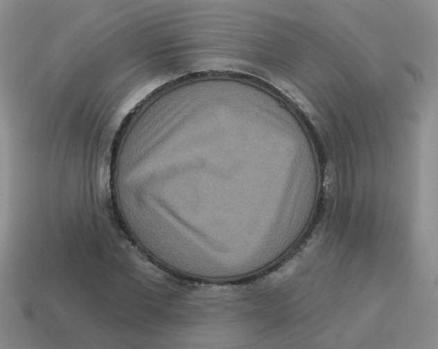 X0000113880877200910221354