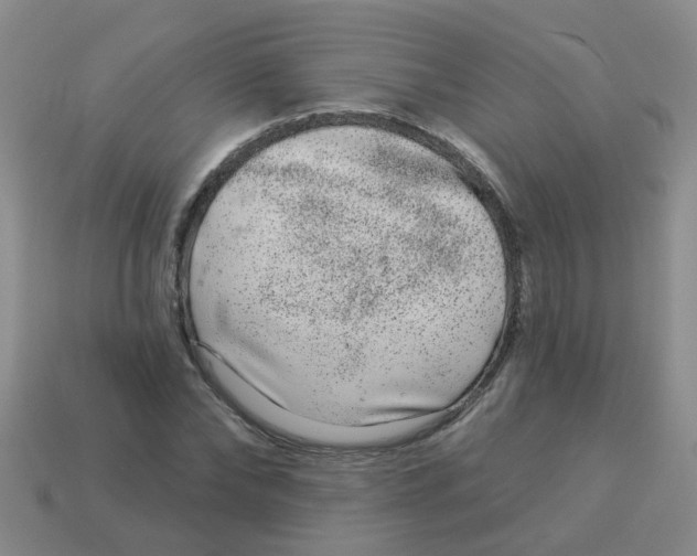 X0000113880878200910221354