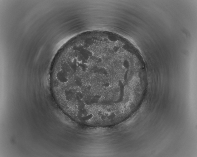 X0000113880879200910221354